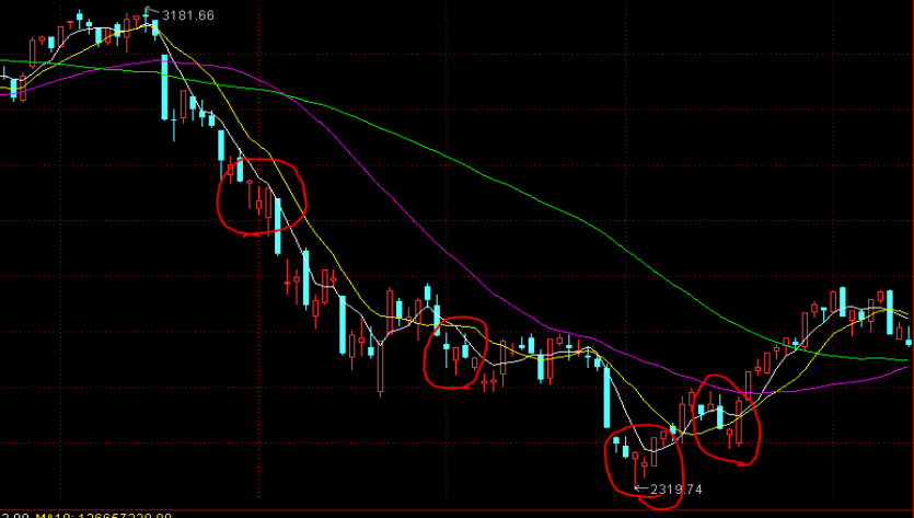 “五一”假期我市消费热力十足